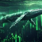 a-giant-digital-whale-swimming-through-a-sea-of-glowing-green-financial-data-and-candlestick-charts.jpg